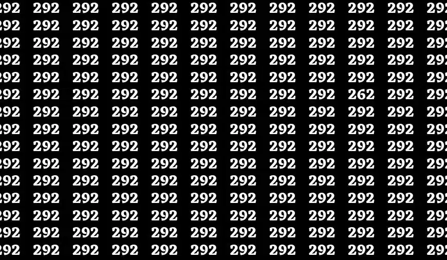 Sfida cerebrale di illusione ottica: se hai gli occhi da falco trova il numero 262 in 15 secondi