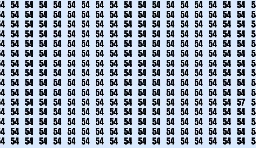 Sfida cerebrale di illusione ottica: se avete una visione 50/50, trovate il numero 57 in 18 secondi.