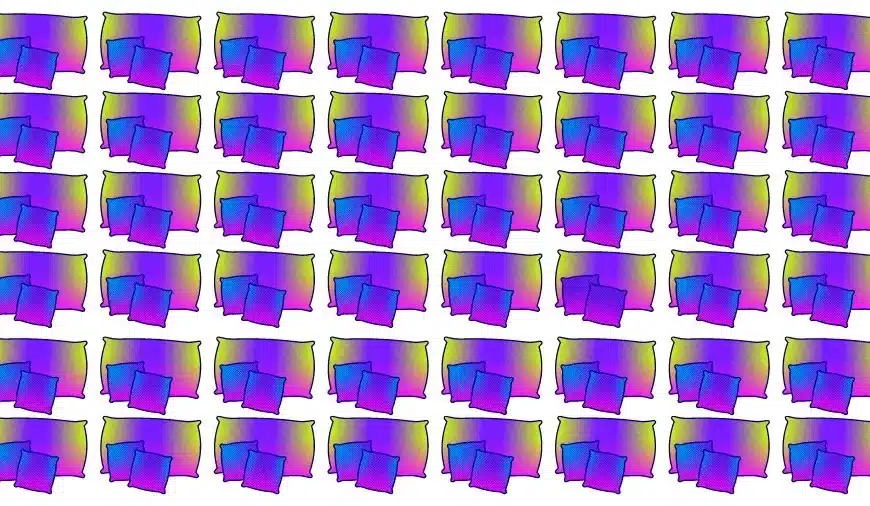 Sfida cerebrale di illusione ottica: se hai gli occhi dell’aquila trova il cuscino strano in 15 secondi