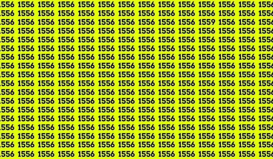 Sfida cerebrale di illusione ottica: se hai gli occhi acuti trova il numero 1559 tra 1556 in 15 secondi