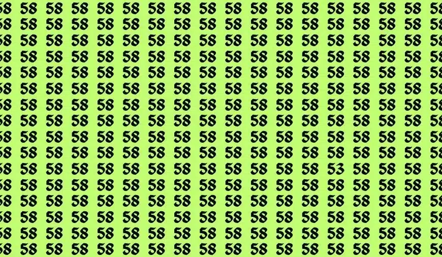 Sfida cerebrale di illusione ottica: se hai una visione 50/50 trova il numero 53 tra 58 in 14 secondi