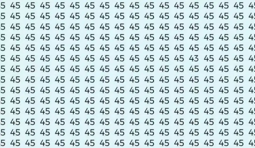 Sfida di illusione ottica: se hai gli occhi di falco trovi il numero 43 tra i 45 in 9 secondi?