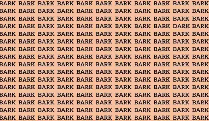 Prova di abilità di osservazione: se hai gli occhi dell’aquila, trova la parola Dark tra le cortecce in 10 secondi.