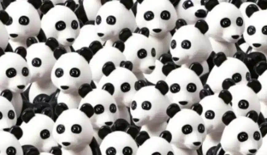 Test visivo di illusione ottica: Riesci a trovare il cane nascosto tra i panda in 5 secondi?