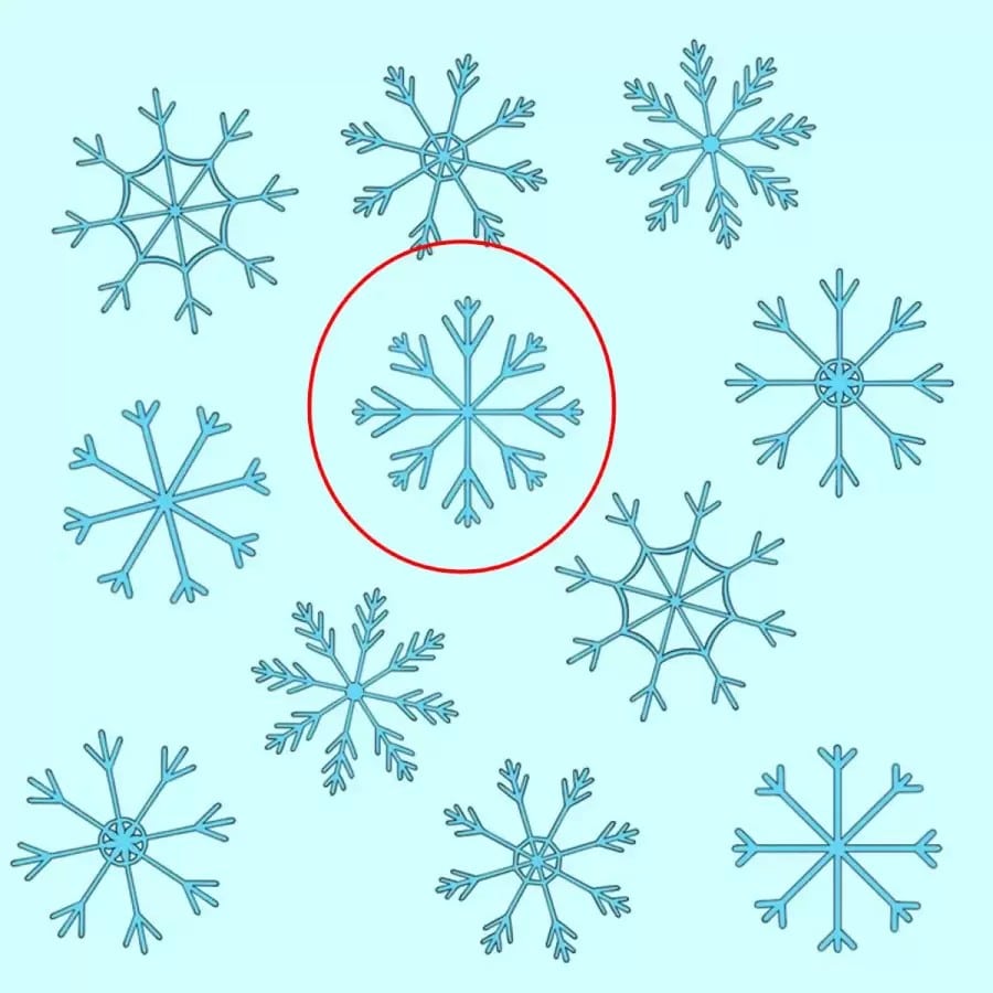 Illusioni ottiche nei test del QI: Riesci a individuare i fiocchi di neve non accoppiati?