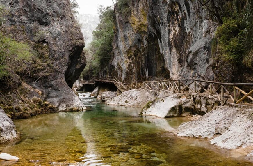 Test di osservazione: scopri velocemente dove si trova l’aquila in questa immagine.