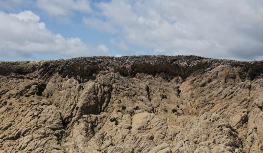 Illusione ottica Trova e cerca: Trovare il falco in questa montagna non è facile. Volete provare?