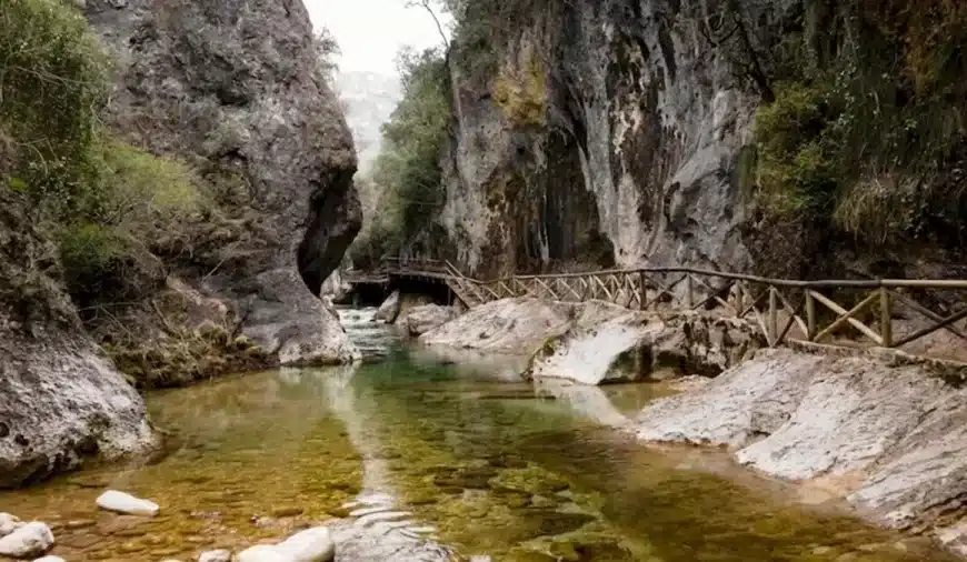 Sfida all’illusione ottica: Le persone con occhi d’aquila catturano i pesci di questa immagine in meno di 15 secondi. Voi ci riuscite?