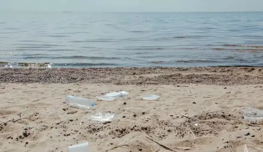 Illusione ottica trova e cerca: Quanto tempo hai impiegato per vedere la conchiglia in questa spiaggia?