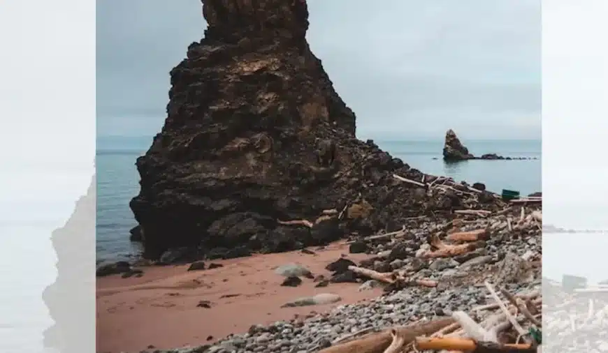 Test oculistico sull’illusione ottica: Cerca di individuare l’avvoltoio in questa spiaggia in 14 secondi