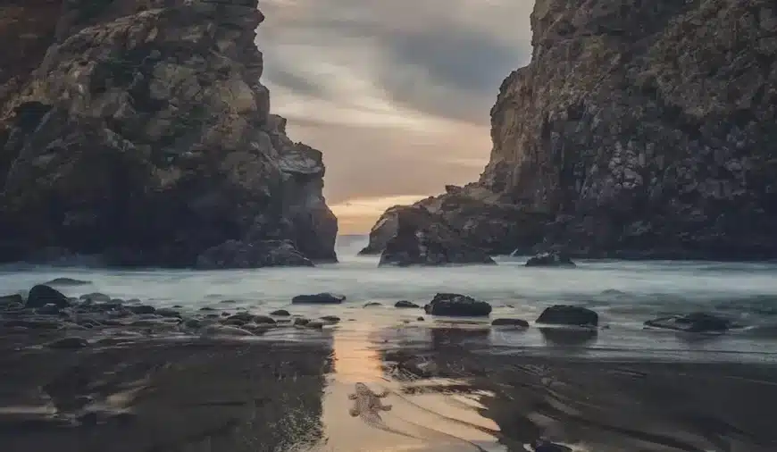 Test visivo dell’illusione ottica: Solo chi ha l’occhio di falco può individuare il coccodrillo in questa immagine