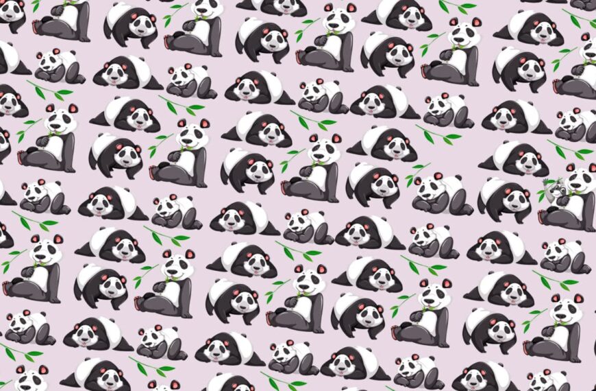 Test visivo: riuscite a individuare l’intruso tra i panda dell’immagine in meno di 30 secondi?