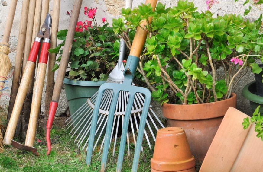 Come pulite e curate i vostri attrezzi da giardino?