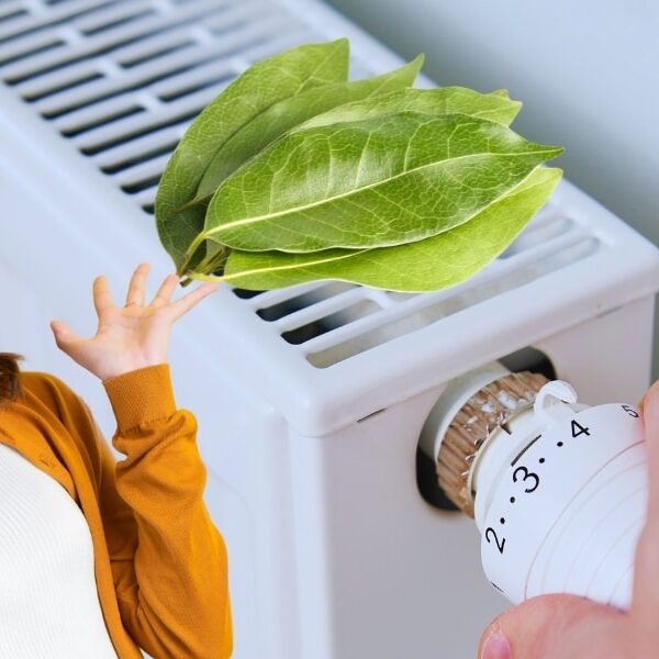 Scoprite il trucco di mettere delle foglie di alloro sul termosifone per un inverno più accogliente!