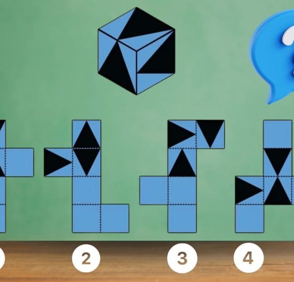 Sfida visiva: mettete alla prova la vostra capacità di osservazione e completate la sfida in meno di 9 minuti!