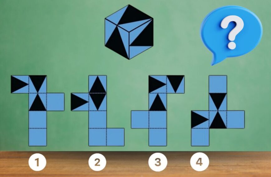 Sfida visiva: mettete alla prova la vostra capacità di osservazione e completate la sfida in meno di 9 minuti!